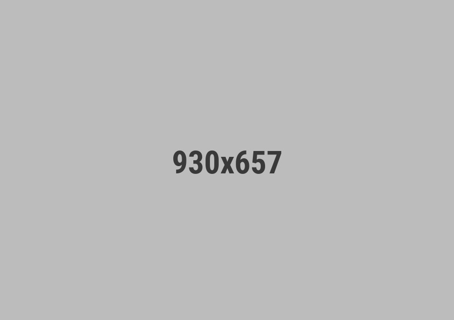 PORTFOLIO TITLE 3